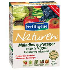 Maladies Potager Vigne